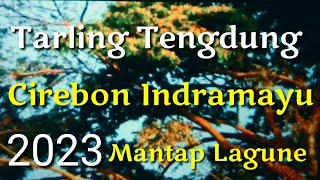 Tarling Tengdung Cirebonan Indramayu 2023 Mantap lagune [upl. by Brandise]