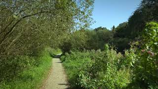 Walk Along the Schwartau River – Starting After MiniGolf to Railway Bridge ASMR [upl. by Ethbinium]