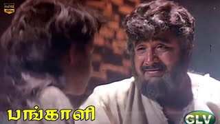 Selvame Song  Pangali  Sathyaraj Vijayakumar  Ilaiyaraaja Mano  HD Video [upl. by Arimay]