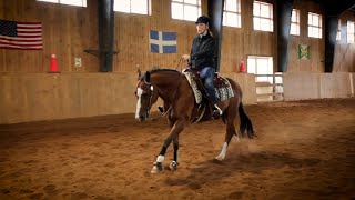 Horse reining has come to Nova Scotia CBCs Amy Smith gives it a try [upl. by Mulford]