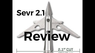 Bowhunting Broadhead Test Sevr 21 Titanium Doe [upl. by Connors879]