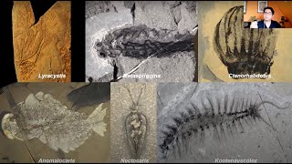 Worms from the Rocks Burgess Shale Fossils Shed Light on Old Mysteries [upl. by Aday63]