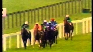 1984 St Jamess Palace Stakes [upl. by Celestyn62]