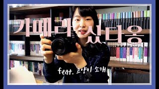 캐논80D  저 카메라 샀어요 feat 고양이 소개 [upl. by Nidak]