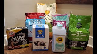 I Tested the Top Brands of Affordable Cat Litter  Here Are Our Top 7 Picks [upl. by Sven353]