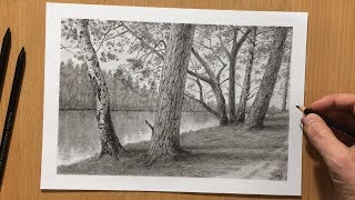 Trees by the River  Charcoal Drawing [upl. by Rori687]