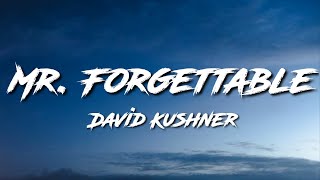 David KushnerMr Forgettable lyrics [upl. by Alekahs]