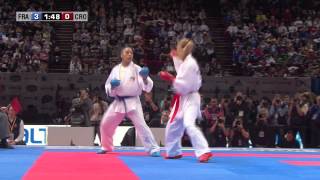 Final Female Kumite 55kg Lucie Ignace vs Jelena Kovacevic World Karate Championships 2012 [upl. by Canute]