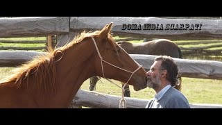 Doma India Scarpati de Caballos  TvAgro por Juan Gonzalo Angel [upl. by Humph]