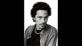 Eagle eye cherry indecision [upl. by Yrhcaz]