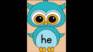 Learn 10 Dolch Primer Sight Words with Blue Owl Theme Set 1  Fall Sight Word Practice for K2 [upl. by Fara179]