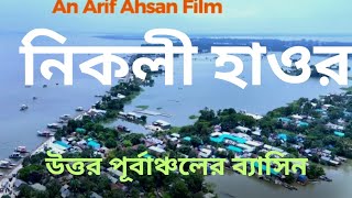 নিকলী হাওর যেভাবে কৃষি অর্থনীতি ও পর্যটন হাব হয়ে উঠেছে। Nikli HaorNikli Haor Kishorganj Travel [upl. by Arelc]