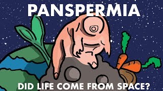 Can Space Explain the Origin of Life  Panspermia [upl. by Wain]