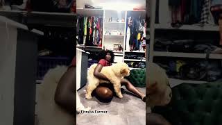 Living with a clingy dog …the most adorable chow chow you will ever meet ytshorts dogsofyoutube [upl. by Brosine]