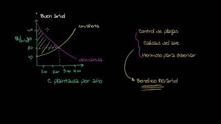 Externalidades positivas [upl. by Ditter]