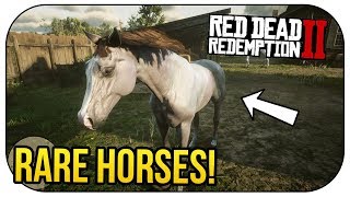 How to Spawn RARE HORSES in Red Dead Redemption 2 FREE [upl. by Tnilc]