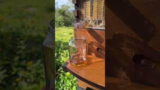 Honey harvest Flow Hive style [upl. by Ettezzil775]