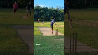 practice match cricket 515 🏏 shorts [upl. by Chelsey]