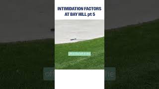 So many factors as to why Bay Hill is tough to play pgatour [upl. by Chung]