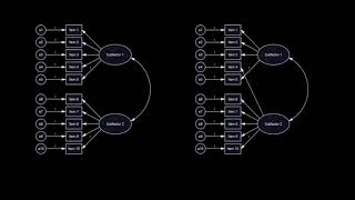 Configural invariance [upl. by Thornburg477]