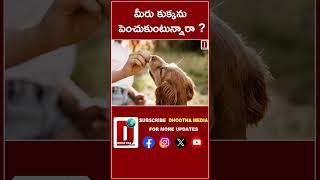 మీరు కుక్కను పెంచుకుంటున్నారా  DHOOTHA MEDIA  doglover newzland latestnews viral shorts [upl. by Aivila]