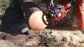 Stihl 461 vs Husqvarna 372 vs Dolmar 7910 vs Makita 7900 chainsaw [upl. by Anirbes741]