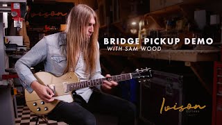 Ivison Bridge Pickups  Quick Comparison with Sam Wood [upl. by Cornell]