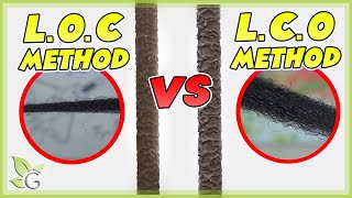 LOC or LCO which is better for your hair’s porosity [upl. by Olihs]