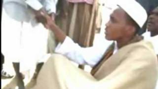 somali ugaaska beesha ciise [upl. by Kuth]