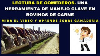 🔴 EFICIENCIA PRODUCTIVA EN GANADERIA 👉APRENDE SOBRE LECTURA DE COMEDEROS EN BOVINOS DE CARNE👈 [upl. by Wilinski]