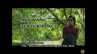 Aku Yang Terluka Lagi  Shidee Official MV [upl. by Nohsram610]