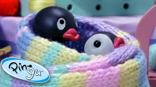 Pingu And His Daily Adventures Pingu Cartoons For Kids [upl. by Caralie]