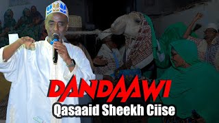 Dandaawi oo Qasiido Cusub U Qaaday Sheekh Ciise Wali [upl. by Ellatsyrc]