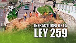 INFRACTORES DE LA LEY 259 [upl. by Press]