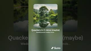 Quackery in C minor  Piano Instrumental Suno AI [upl. by Brigida930]