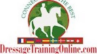 Dressage training with Garreth Hughes How to Train the Flying Changes [upl. by Jaenicke416]