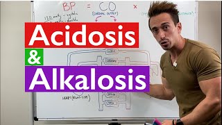 Acidosis and Alkalosis MADE EASY [upl. by Elaweda]