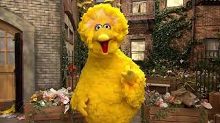 Why is Big Bird Big  Sesame Street Song [upl. by Grannias]