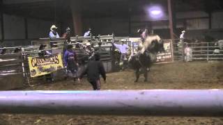 Bull riding CT rodeo [upl. by Glasgo]