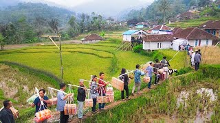 Edyan‼️Beginilah Kalau Sultan Kampung Nikah Jajap Pengantin 1000 Orang Emas 50 Gram Domba Lemari [upl. by Borrell]