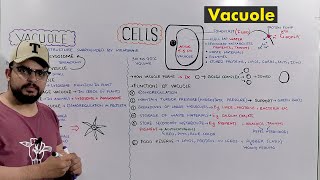 Vacuole Types and Functions of Vacuole Plant Central Vacuole Detailed Series [upl. by Telrahc]