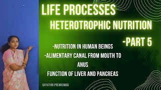 LIFE PROCESSES HETEROTROPHIC NUTRITIONPART 5class10 cbse biology lifeprocesses [upl. by Yedarb]