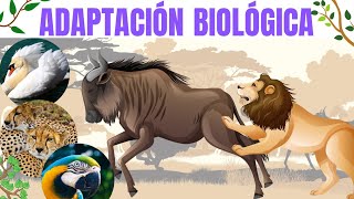 Adaptación Biológica  ¿QUÉ ES  Tipos 🐴🐿🦌🐸🦌🐿🐡🐃🦏🐤🦇🐼🦀🐹🐚🦁🦓 [upl. by Erdei]