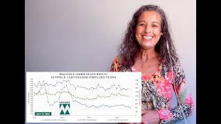 US Housing Starts and Lumber Prices 1H 2024 [upl. by O'Donovan]