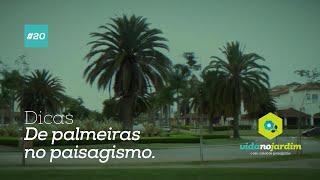 Dicas de Palmeiras no paisagismo 20 [upl. by Bridge316]