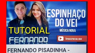 TUTORIAL ESPINHAÇO DO VEI FERNANDO PISADINHA [upl. by Ibbed]