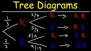 Probability Tree Diagrams [upl. by Kelton]