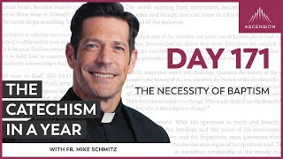 Day 171 The Necessity of Baptism — The Catechism in a Year with Fr Mike Schmitz [upl. by Ferde]