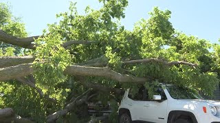 Mother nature is cruel Northeast Omaha neighbors clean up after Tuesdays storm [upl. by Siednarb910]