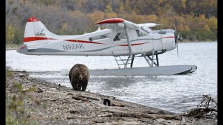 Alaska Ultimate Safaris LLC Live Stream [upl. by Yetty444]